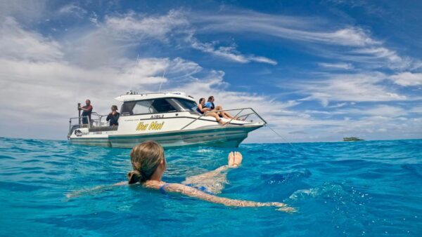 3 Day Ultimate Whale Swim Adventure - Image 4
